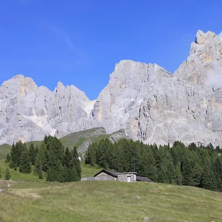 La Pulce Innevata - Agenzia Dolomiti Affitti * Passo Rolle